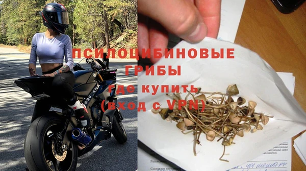 амф Бугульма