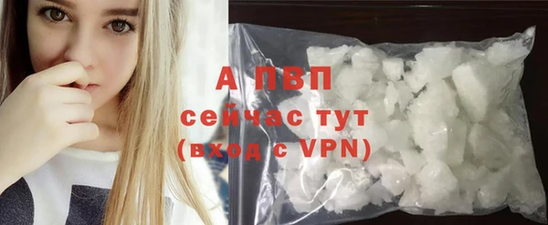 крисы Богданович