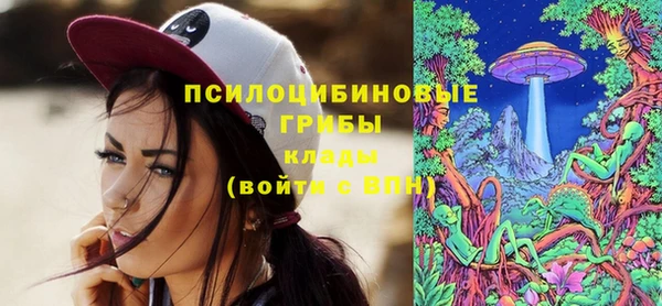 амф Бугульма