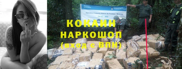 тгк Бронницы