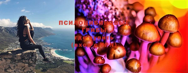 амф Бугульма