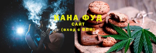 МДПВ Богородск