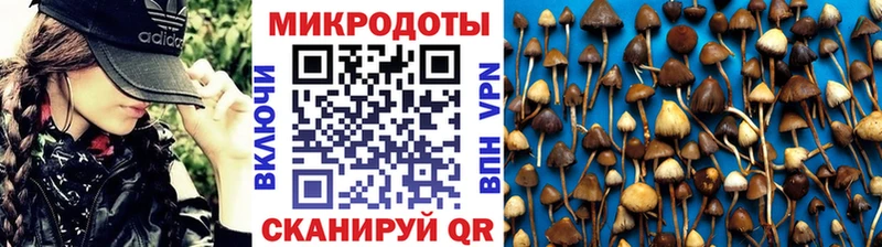 Псилоцибиновые грибы MAGIC MUSHROOMS закладка Ноябрьск